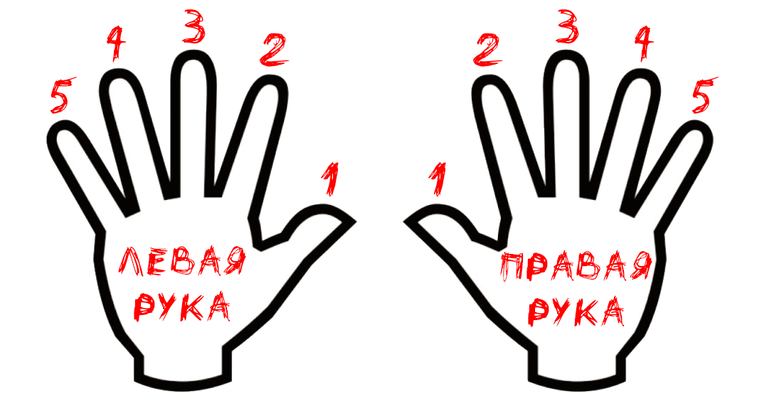 Аппликатура